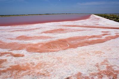 bacino-salante-rosa