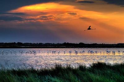 saline-di-cervia-al-tramonto-1-e1534941828379-700x467